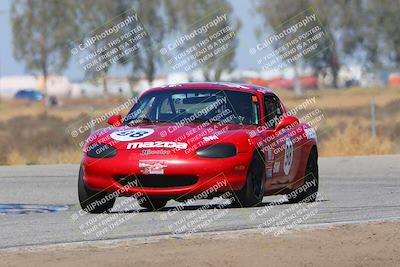 media/Oct-14-2023-CalClub SCCA (Sat) [[0628d965ec]]/Group 4/Qualifying/